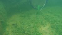 under water object detection project thumbnail