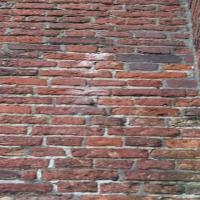 Last efflorescence project thumbnail
