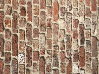 alt Efflorescence project thumbnail