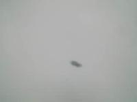 component Detection project thumbnail