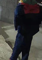 Dataset Image