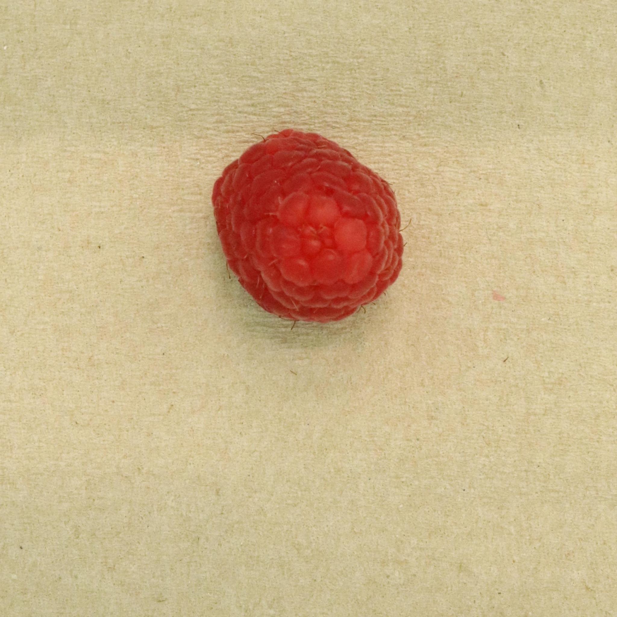 Raspberries Small Size Images Instance Segmentation Dataset by ...
