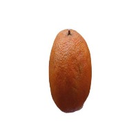rotten apple project thumbnail
