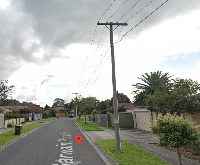 Dataset Image
