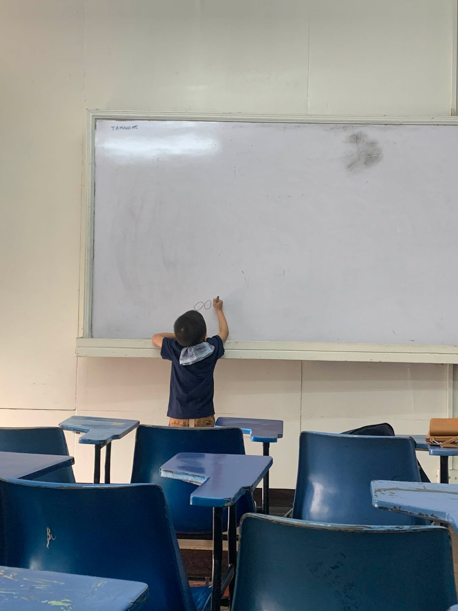 Classroom-Chair-Detection Object Detection Model by KARLs Workspace