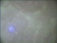 object detection project thumbnail