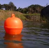 buoys_detection_v1 project thumbnail