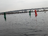 Buoys project thumbnail