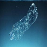 ssd project thumbnail