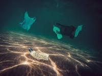 fast rcnn project thumbnail