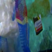 rcnn project thumbnail