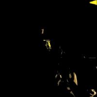 ow2_yellow_detection project thumbnail