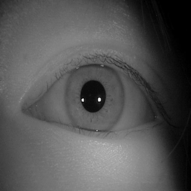 IRIS RECONIGTION PFE_essai Object Detection Dataset by kary