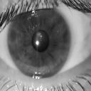 IRIS RECONIGTION PFE 2 project thumbnail