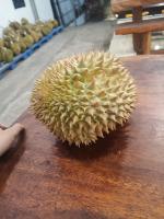 Deteksi Jenis Durian project thumbnail
