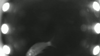 calcurate_Night_validation2 project thumbnail