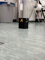 Dataset Image