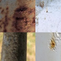 Rust Detection project thumbnail