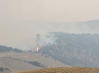 the_wildfire_dataset_2n_version project thumbnail