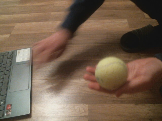 ball Object Detection Model by cameraa