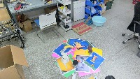 Dataset Image