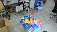 Dataset Image