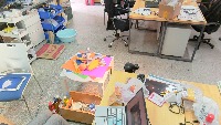 Dataset Image