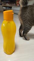 Yellow Bottle project thumbnail