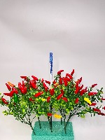 Warna Cabe by Frederick project thumbnail