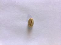Coffee Bean(Webcam) project thumbnail