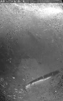 Faughan_Vaibhav_V2_TEST project thumbnail