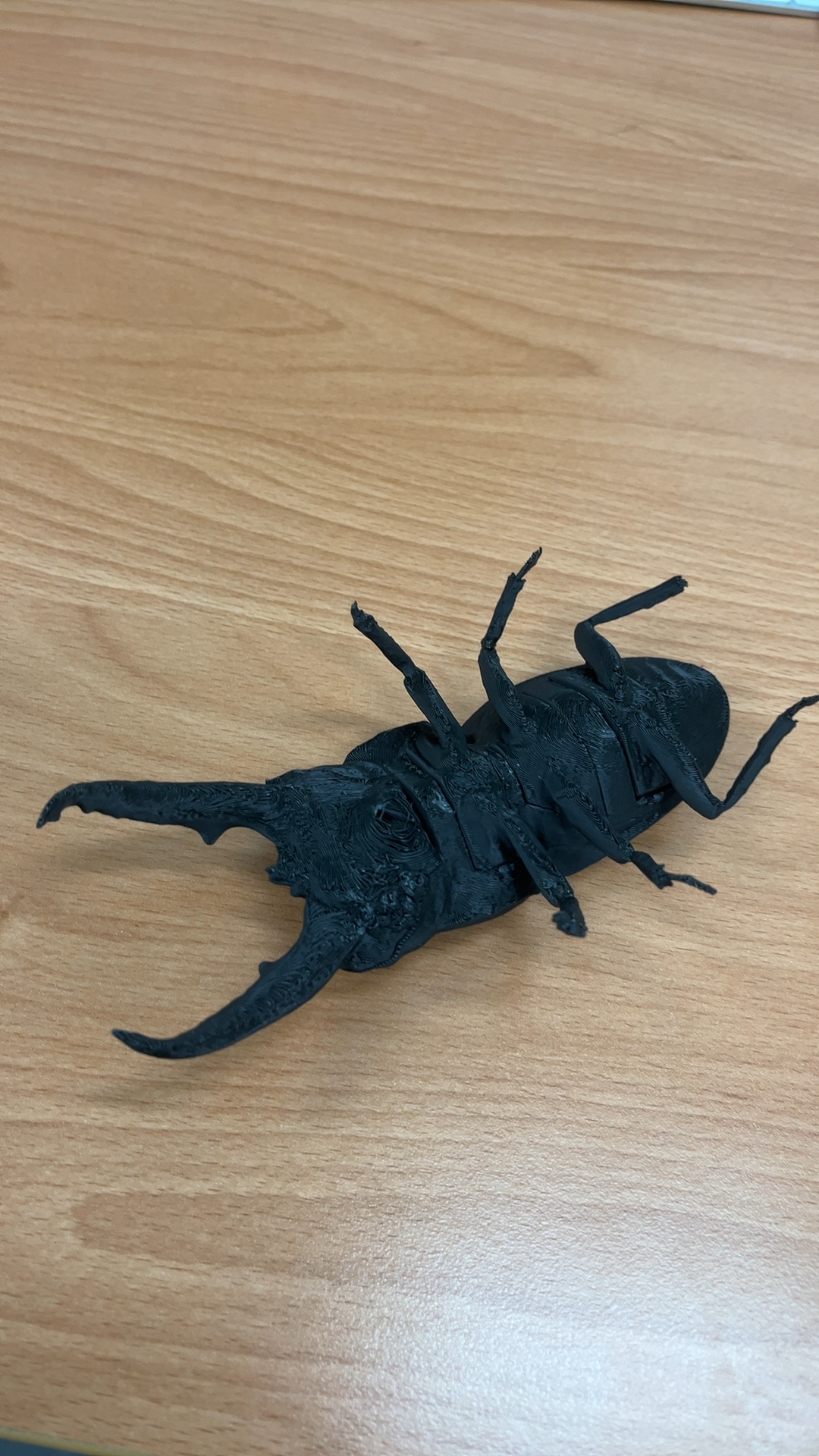 Object Detection Insect insect Object Detection Dataset by 4b21c081