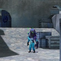 Dataset Image