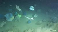 deepsea project thumbnail