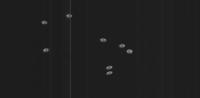 particle_detection project thumbnail