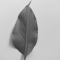 Image project thumbnail