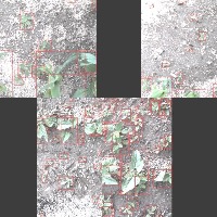 crop and weed detection project thumbnail