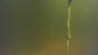 rope segmentation project thumbnail