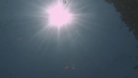 Jellyfish Detection project thumbnail