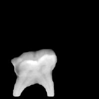 only_caries project thumbnail