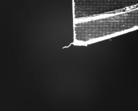 SPAR-SCRIBE DETECTION project thumbnail