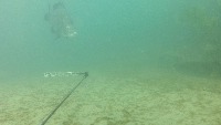 fishCounting project thumbnail