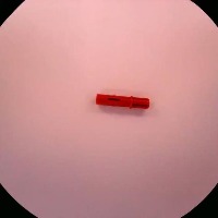 11214 project thumbnail