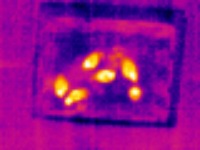 B.Box Thermal Bird 2 project thumbnail
