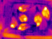 B.Box Thermal Bird project thumbnail