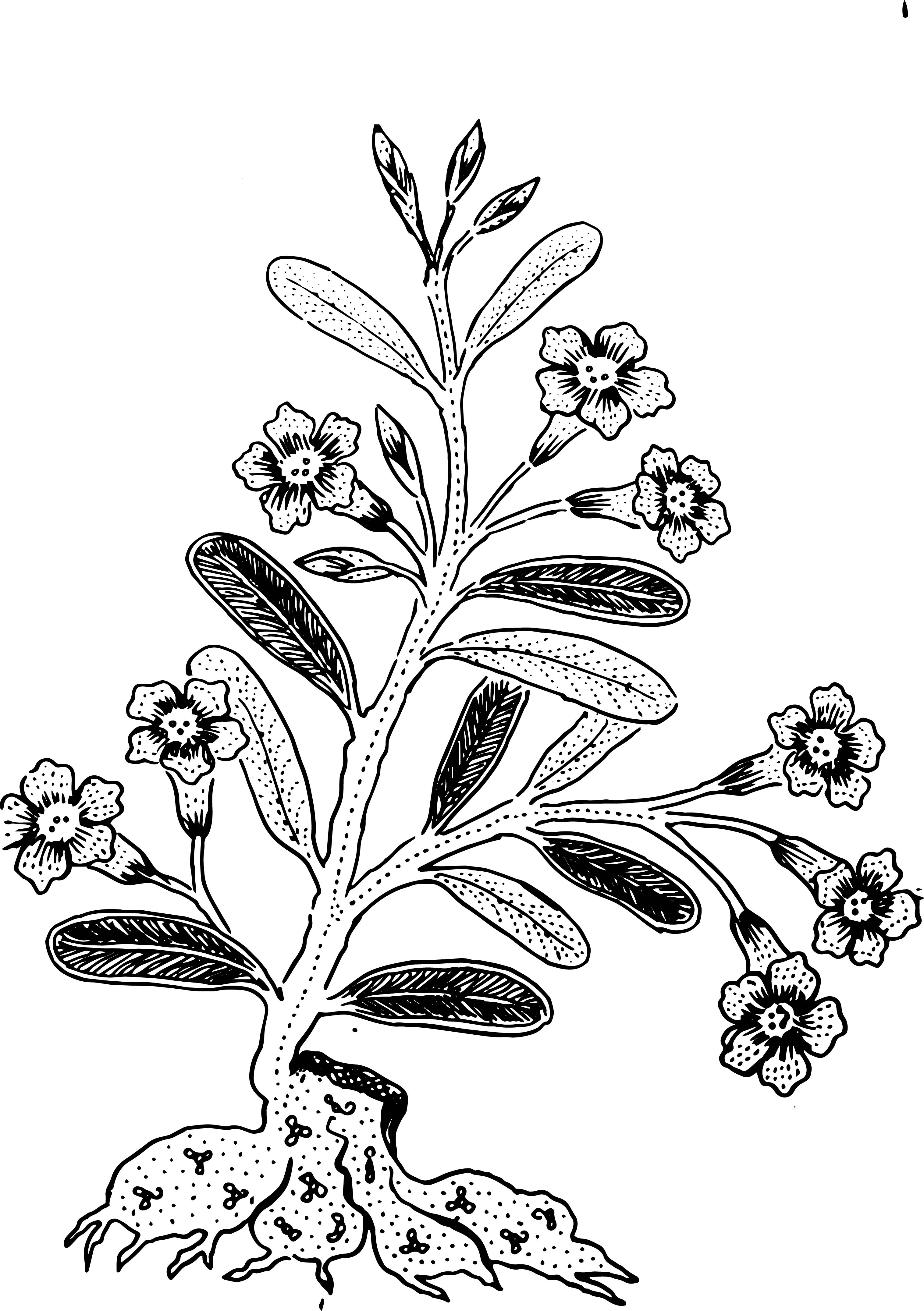 Batik bakaran classification dataset by unika