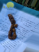 Ｄｏｇ　ｐｏｏｐ project thumbnail