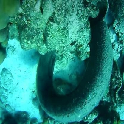 Underwater Ocean Plastic Detection Using Roboflow Object Detection ...