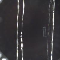 plastic project thumbnail