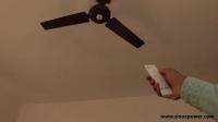 Fan Detection project thumbnail